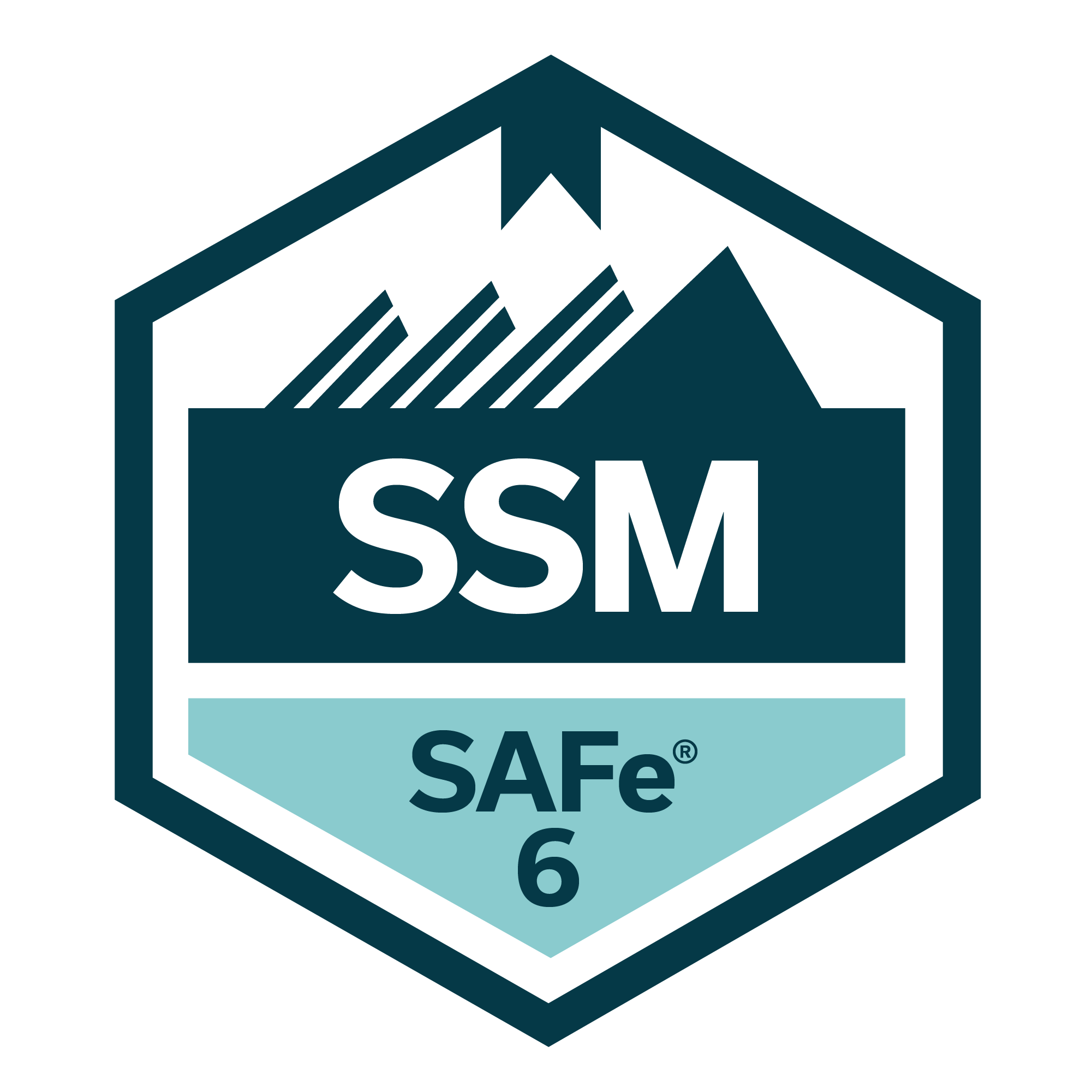 SAFe SSM