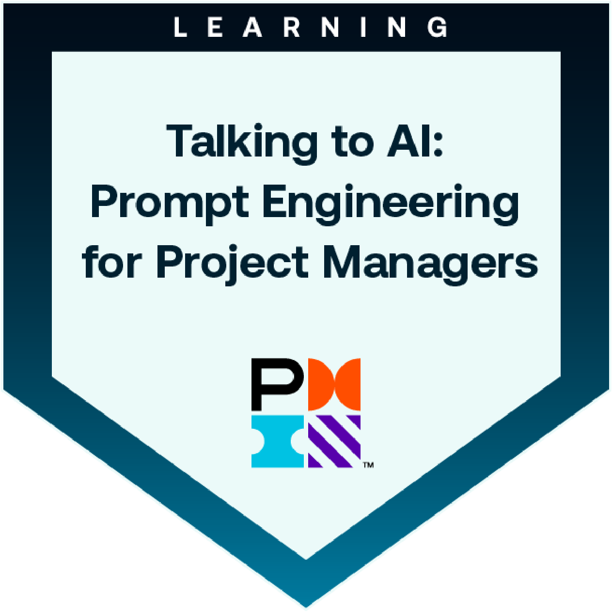 Prompt Engineering